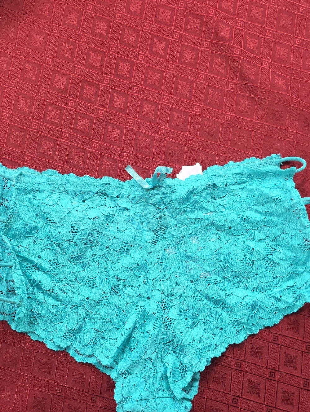 Delta Burke Teal Lace Boyshort Panties